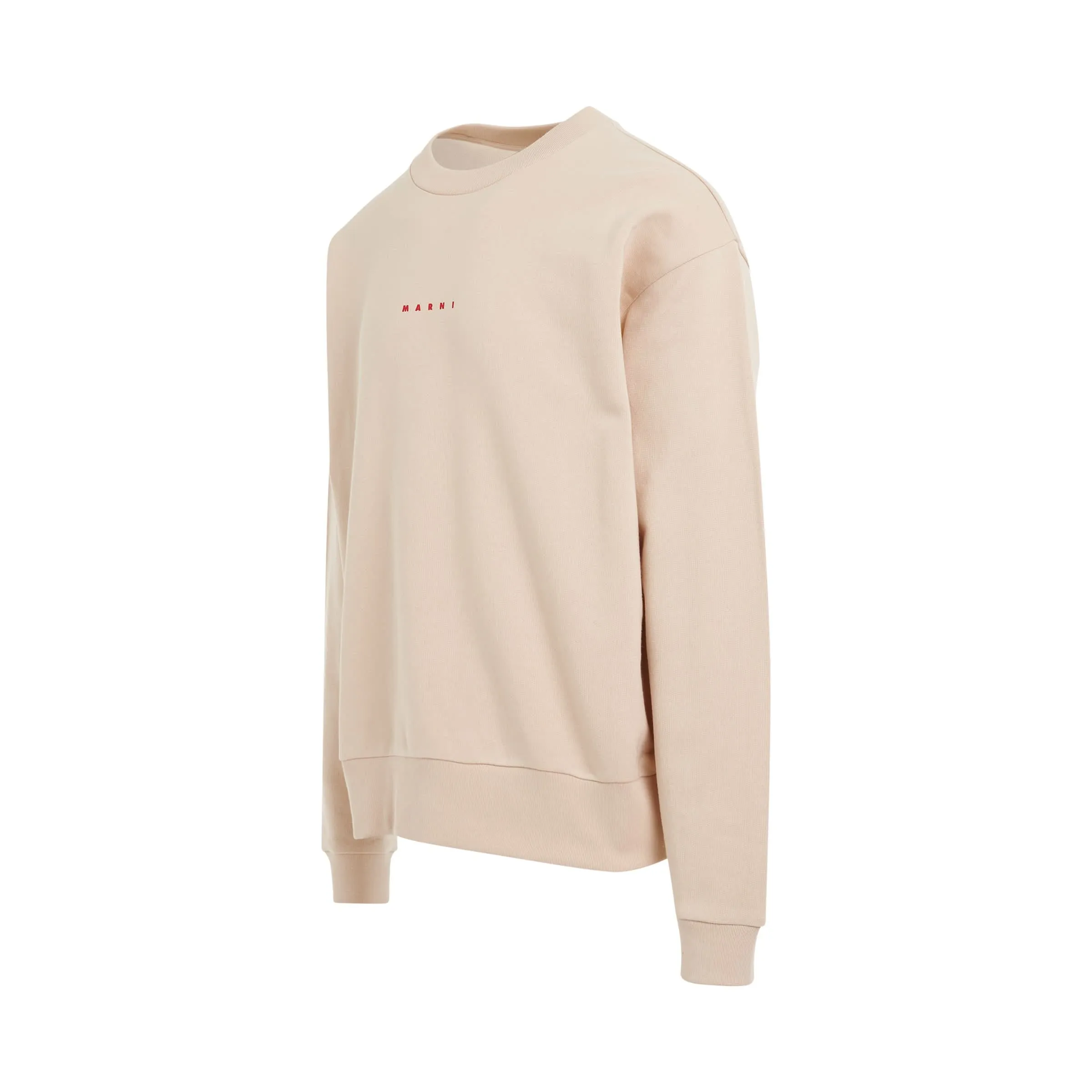 Classic Chest Logo Sweatshirt in Ivory